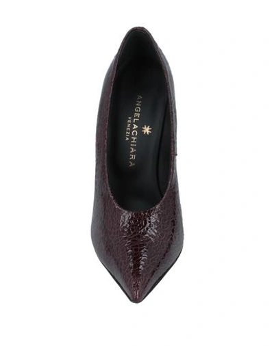 Shop Angela Chiara Venezia Pumps In Maroon