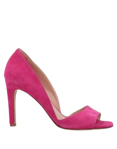 Shop Liviana Conti Pumps In Fuchsia