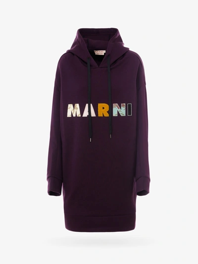 Shop Marni Sweatshirt In Purple