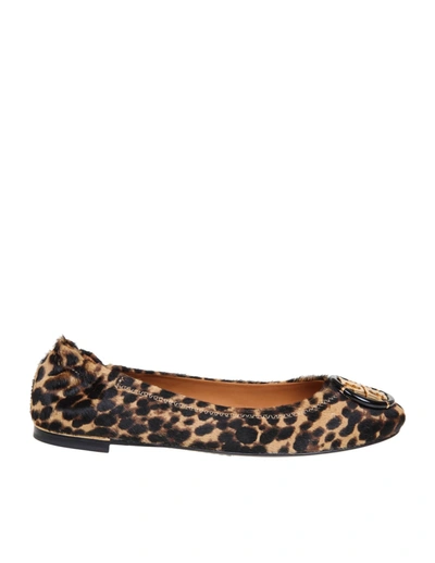 Shop Tory Burch Pony Multi Logo Ballerina In Leopard