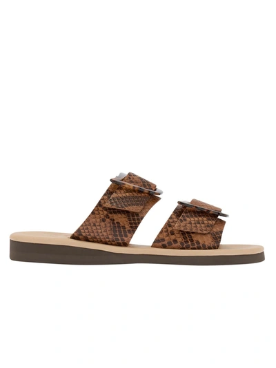 Shop Ancient Greek Sandals Iaso Python Leather Sandals In Brown