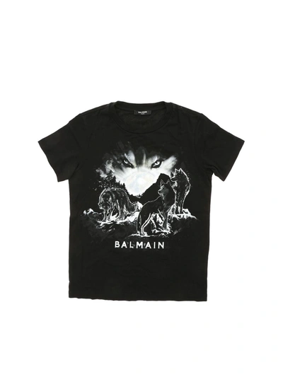 Shop Balmain Wolves Print T-shirt In Black