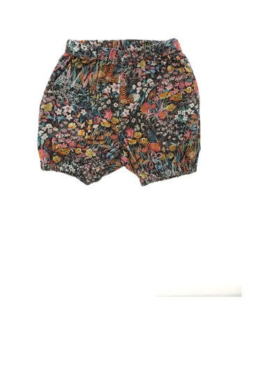 Shop Bonpoint Pacha Multicolor Shorts In Multicolour
