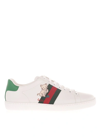 Shop Gucci Kitten Ace Sneakers Woman In White