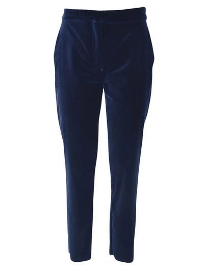 Shop Max Mara Cantone Pants In Blue Velvet