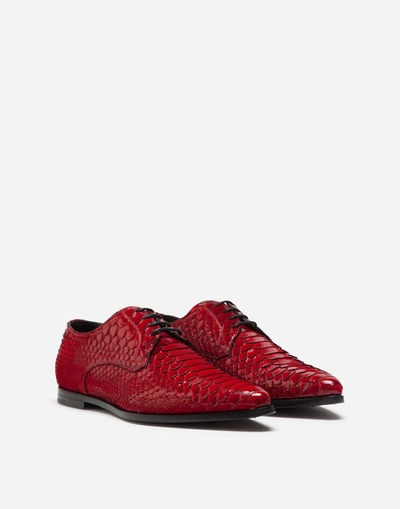 Shop Dolce & Gabbana Python Derby Shoes In Red