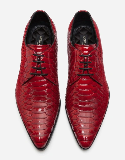 Shop Dolce & Gabbana Python Derby Shoes In Red