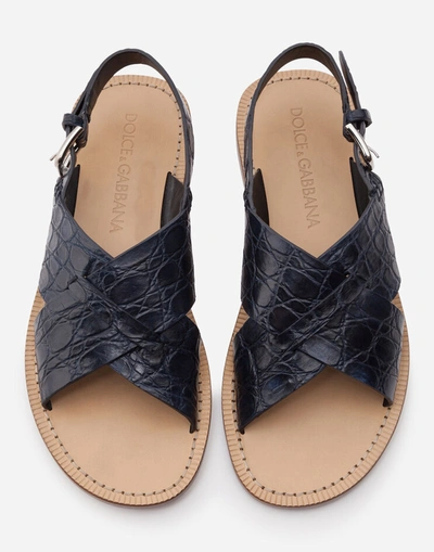 Shop Dolce & Gabbana Hand-polished Crocodile Flank Leather Sandals In Blue