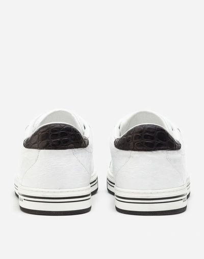 Shop Dolce & Gabbana Hand-polished Crocodile Skin Side Roma Sneakers In White/black