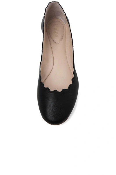 Shop Chloé Leather Scalloped Flats In Black