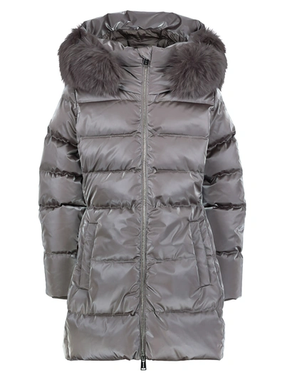Shop Add Kids Down Coat For Girls In Grey
