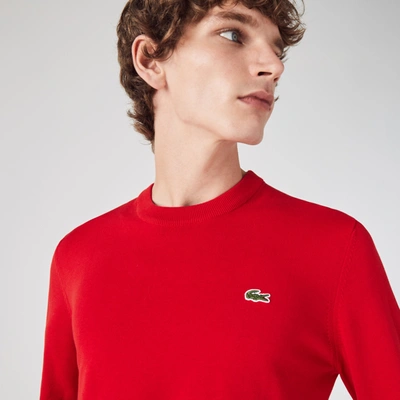 Shop Lacoste Crew Neck Cotton Sweater - L - 5 In Red