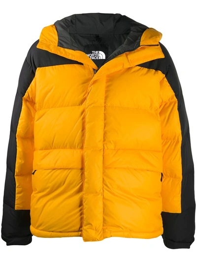 Shop The North Face Padded Sports Jacket In Yellow