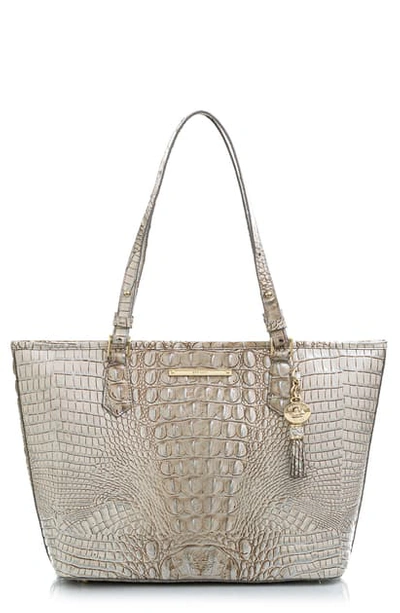 Shop Brahmin 'medium Asher' Leather Tote In Sterling