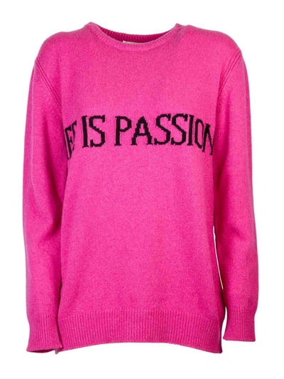 Shop Alberta Ferretti Life Is A Passion Sweater In Fuchsia