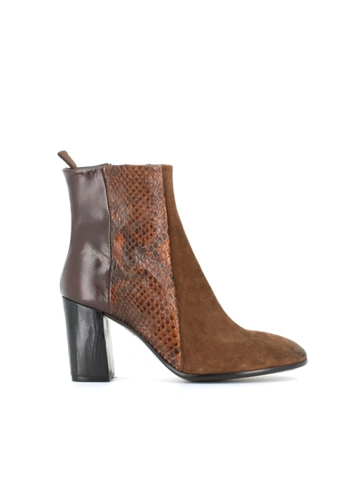 Shop Alexander Hotto Ankle Boot 58603 In Brown