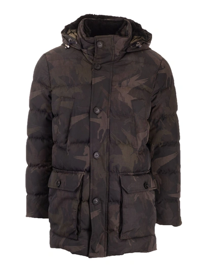 Shop Etro Camouflage Pegaso Down Jacket In Green