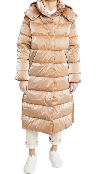 Shop Add Down Coat With Detachable Hood In Gold