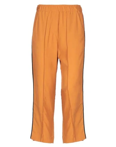Shop Alysi Woman Pants Orange Size 6 Viscose