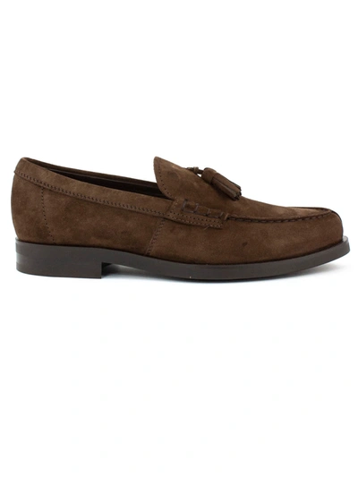 Shop Tod's Loafers In Brown Suede In Caffe