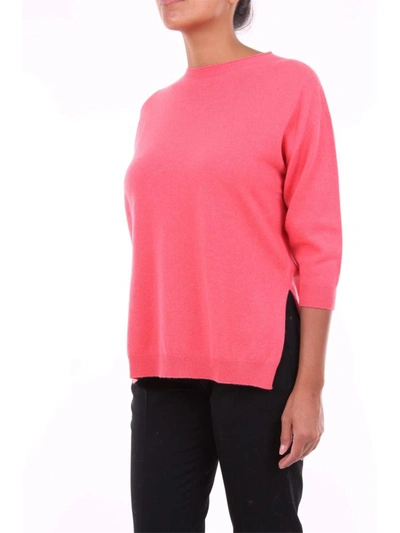 Shop Peserico Women's Pink Cashmere Jumper