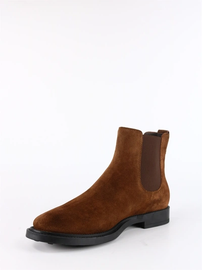 Shop Tod's Chelsea Boots Brown Suede