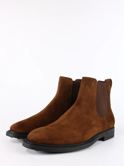 Shop Tod's Chelsea Boots Brown Suede