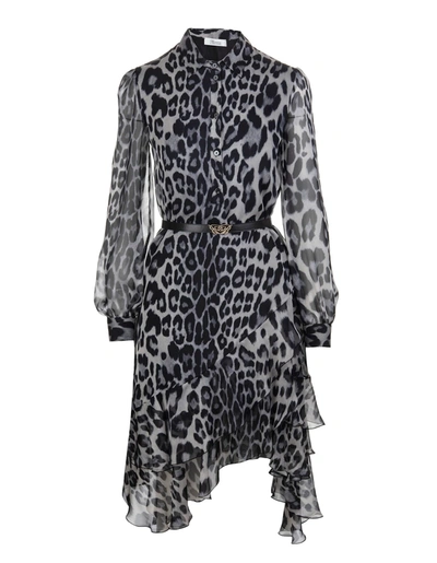 Shop Blumarine Leopard Midi Dress With Asymmetrical Bottom In Animalier
