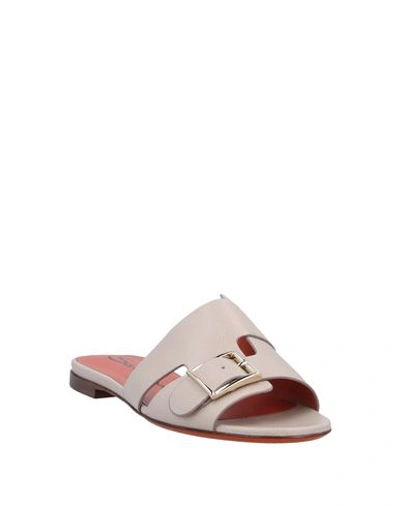Santoni Sandals In Dove Grey
