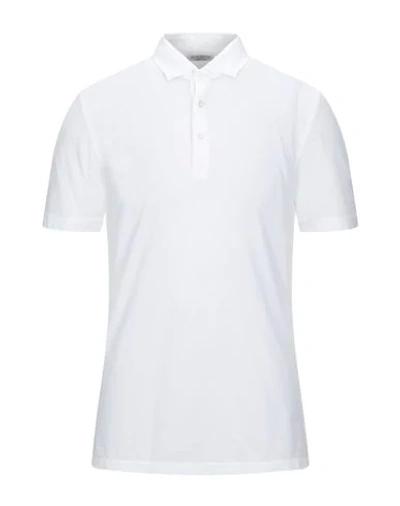 Shop Gran Sasso Polo Shirts In White