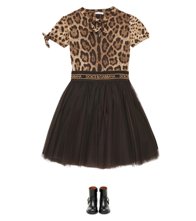 Shop Dolce & Gabbana Tulle Skirt In Brown