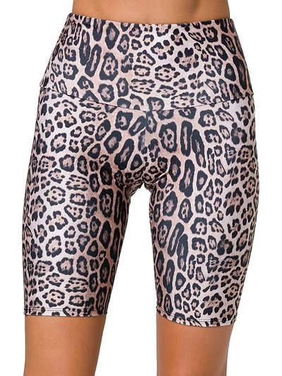 Shop Onzie High Rise Biker Short In Leopard