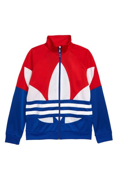 Adidas Originals Adidias Boys' Big Trefoil - Big Kid Scarlet/ Royal Blue/ White ModeSens