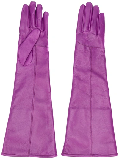 Shop Msgm Long Stitched Panel Gloves In Purple