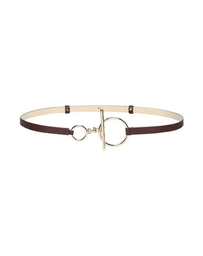 Shop 8 By Yoox Thin Belt In Brown