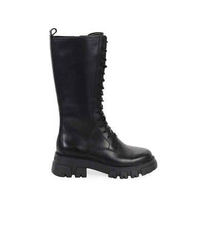 Shop Ash Lullaby Black High Combat Boot In Nero (black)