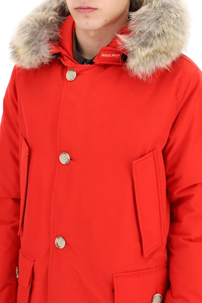 Shop Woolrich Arctic Parka With Coyote Fur In Red