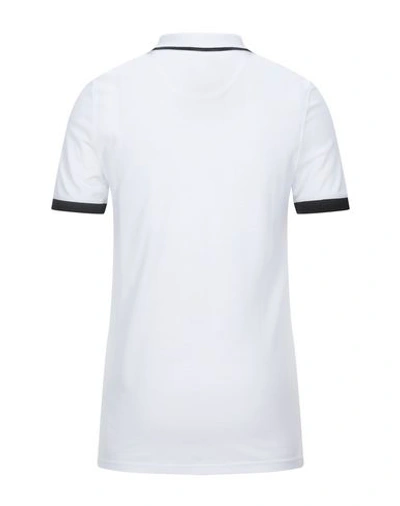 Shop Roberto Cavalli Polo Shirts In White