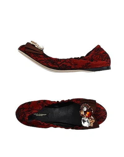 Shop Dolce & Gabbana Ballet Flats In Maroon