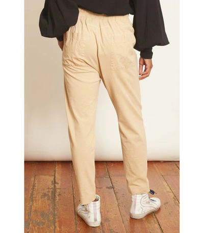 Shop Bassike Double Jersey Contrast Tapered Pant In Nutmeg In Neutrals