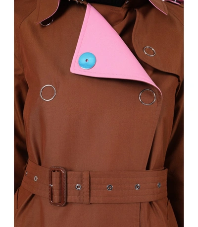 Shop Burberry Brown And Pink Trench Coat