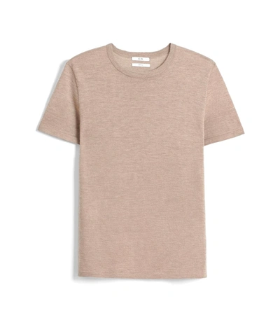 Shop Co Cashmere Short Sleeve Knit Top In Taupe In Neutrals