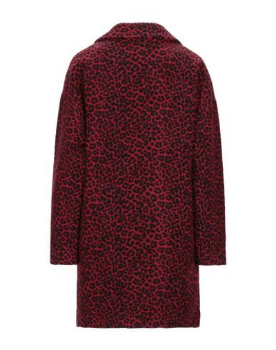 Liu •jo Coats In Red