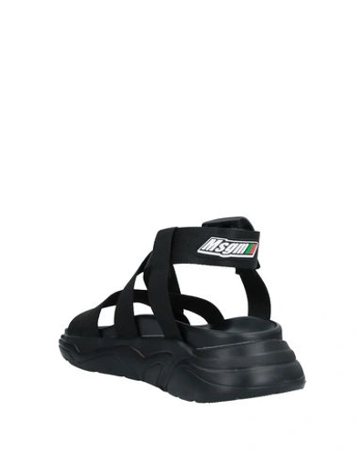 Shop Msgm Sandals In Black