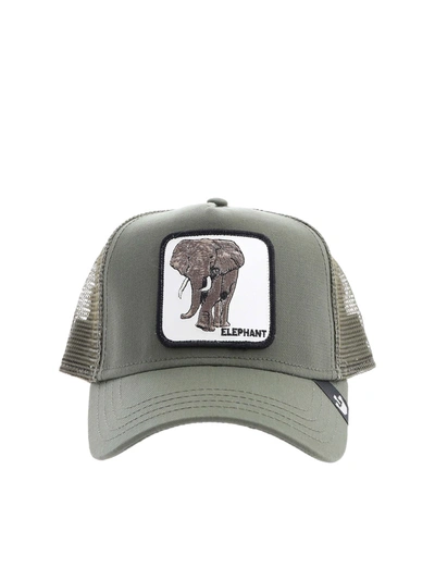 Shop Goorin Bros Elephant Patch Hat In Green