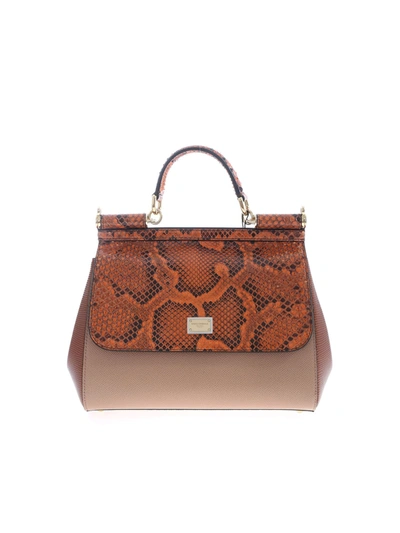 Shop Dolce & Gabbana Sicily Handbag In Brown And Orange
