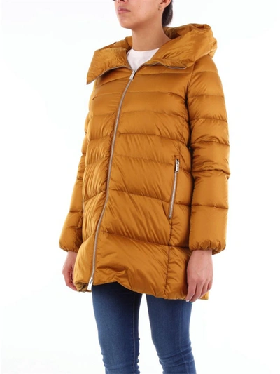 Shop Add Women's Yellow Polyamide Down Jacket