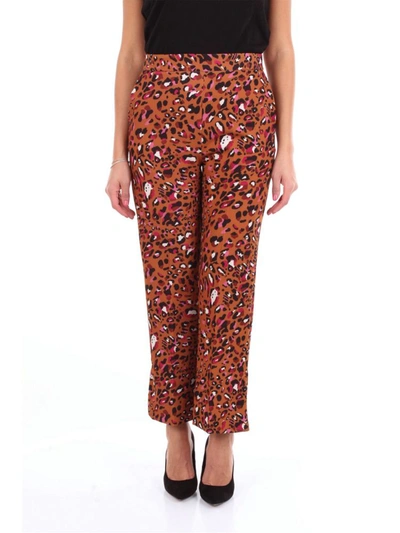 Shop Altea Women's Brown Polyester Pants
