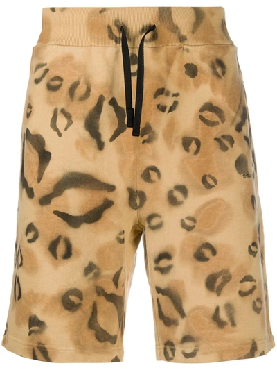 Shop Alyx Leopard-print Cotton Track Shorts In Neutrals