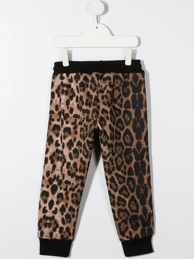 Shop Gcds Leopard-print Logo Track Trousers In Brown